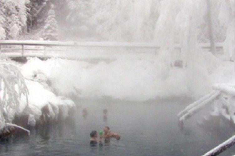 Les sources thermales Liard Hot Springs
