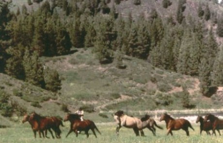AP-RANCH1 5